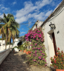 El Santorini Colombiano