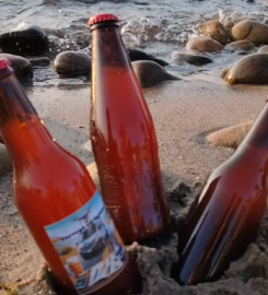 Cerveza en Camino