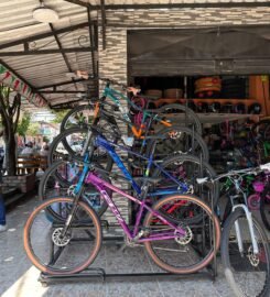 Ciclo respuestos Aldana