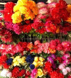 Variedades Bambalinas