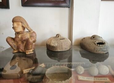 Museo Arqueológico y Paleontológico de Prado