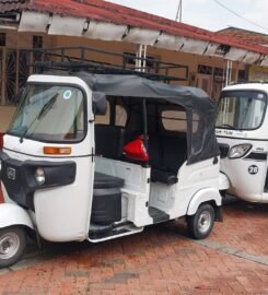 Lagotrans Prado-Tolima